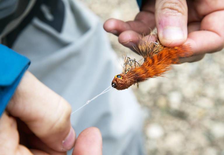 Fishing